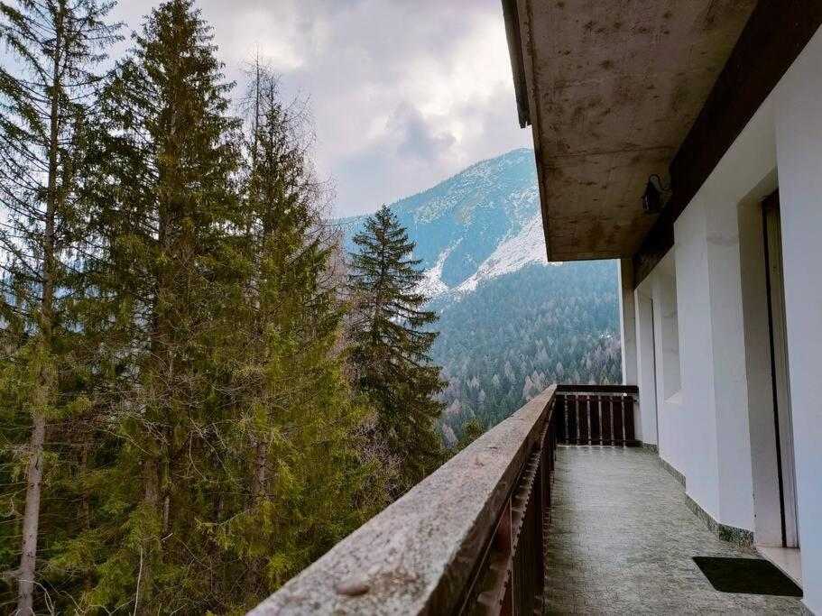 Appartamento Il Terrazzo Sulle Dolomiti Cibiana Esterno foto