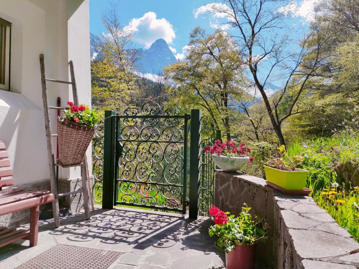 Appartamento Il Terrazzo Sulle Dolomiti Cibiana Esterno foto