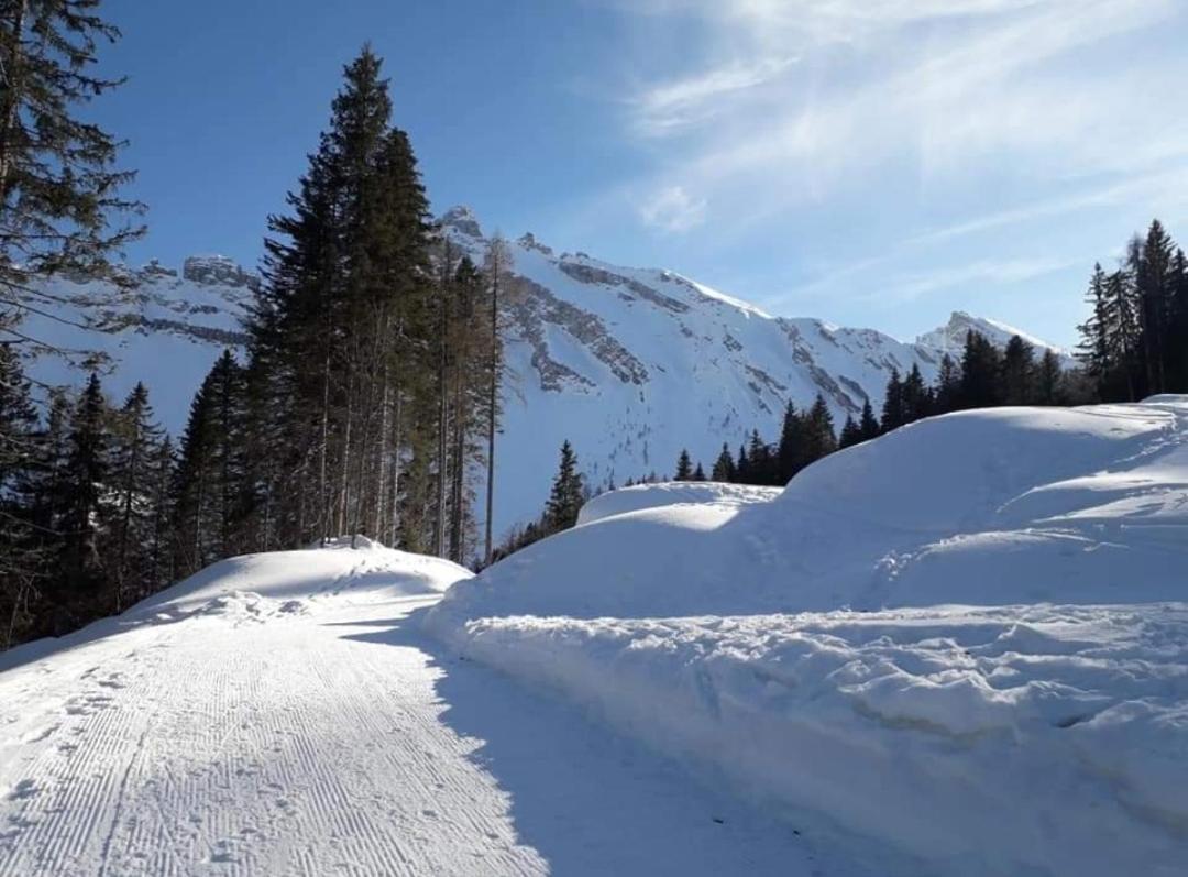 Appartamento Il Terrazzo Sulle Dolomiti Cibiana Esterno foto